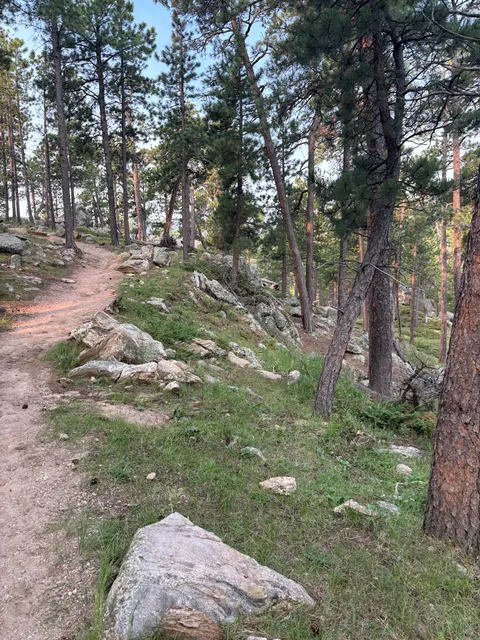 Mount Rushmore Blackberry Horse Centennial Trailhead