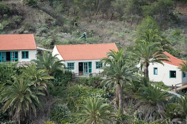 Finca Montoro -casaAlma-casaAloha-casaAura& AYURVEDA MASSAGE