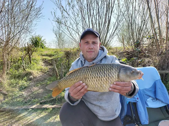 Shiplate Farm Retreat