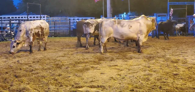 Alumni Memorial Field