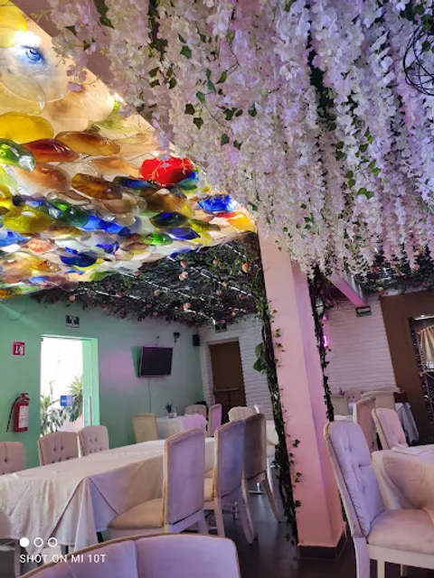 Blossom By Paulina Burela