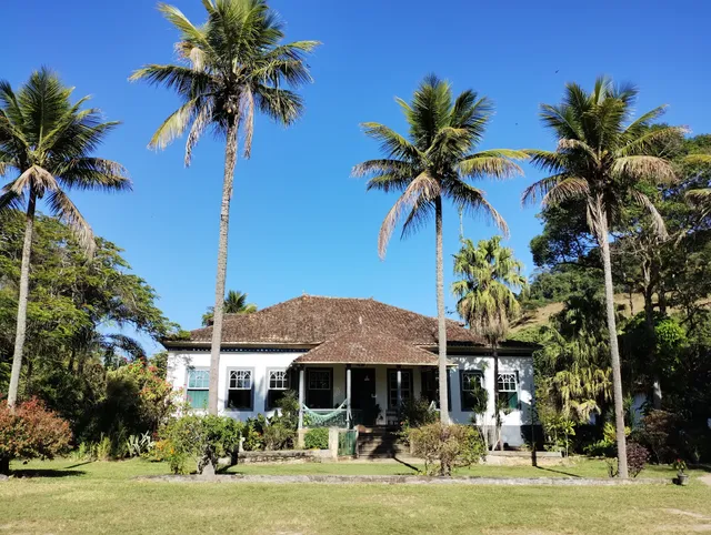 FAZENDA DOS COQUEIROS BANANAL-SP