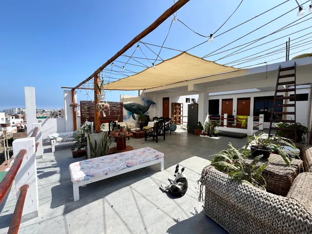 Bravo Hostels: Surf House