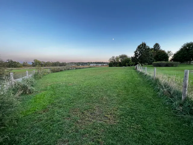 Mitchell Park Dog Exercise Areas