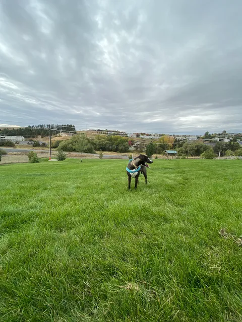 Pooch Park at Pullman