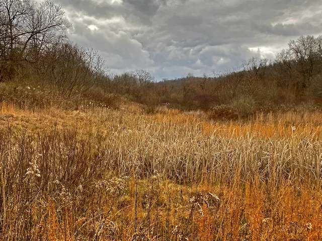 State Game Lands Number 297