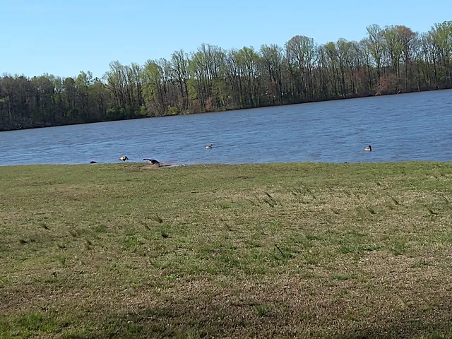 Lums Pond State Park