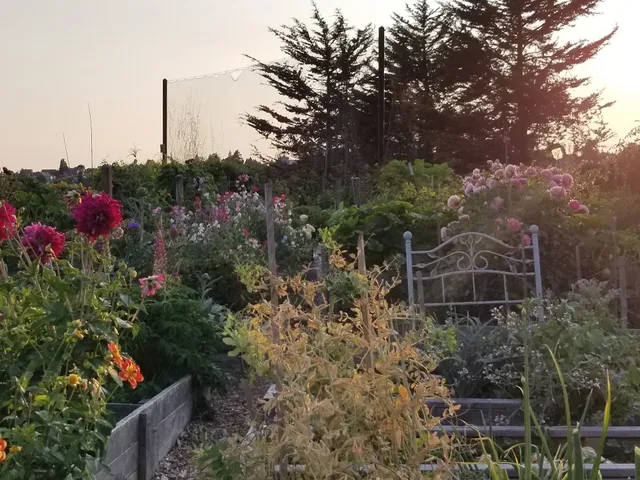 Interbay P-Patch Community Garden