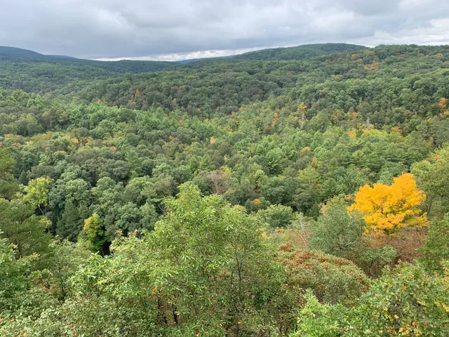 Green Ridge State Forest