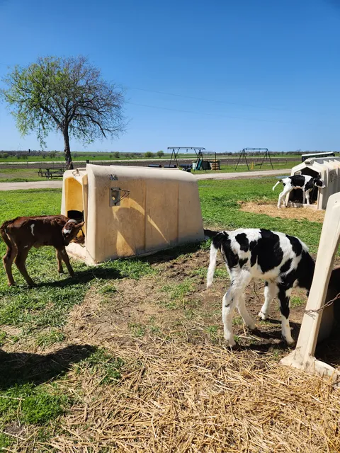 Circle N Family Dairy