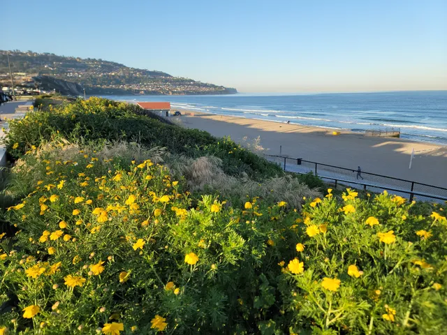 Torrance Beach