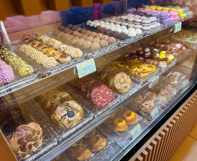 Lady Laura Atelier Esplanada