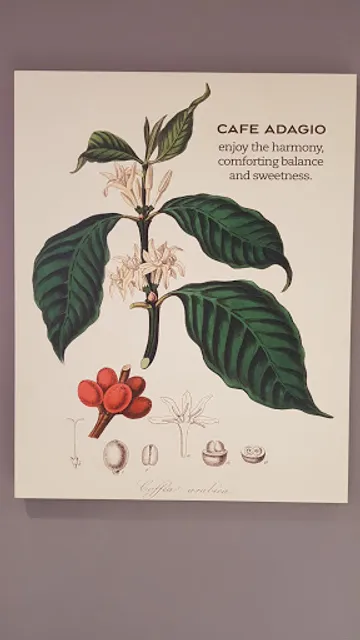 Paris Baguette Daegu dong-gu office Branch