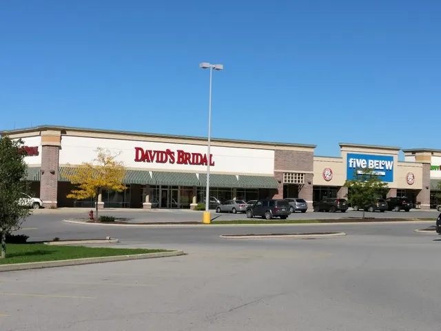 David's Bridal Altoona PA