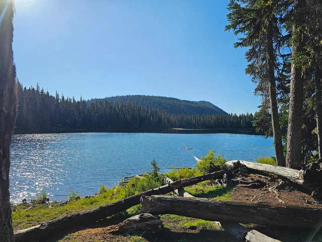 Trailhead: Soda Springs Stock Trail