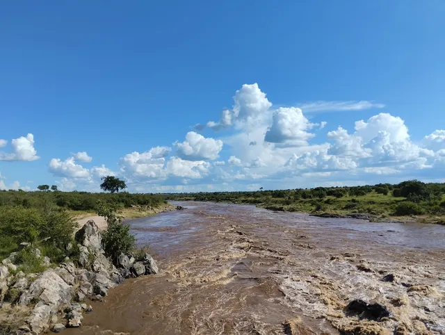 Mara river