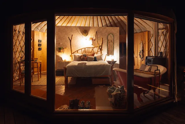 Kaya at Blackhill Farm