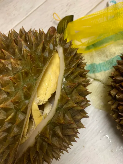 Tom's nursủey - Vườn trái cây