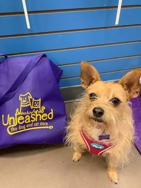 Unleashed, The Dog & Cat Store Crescent Commons