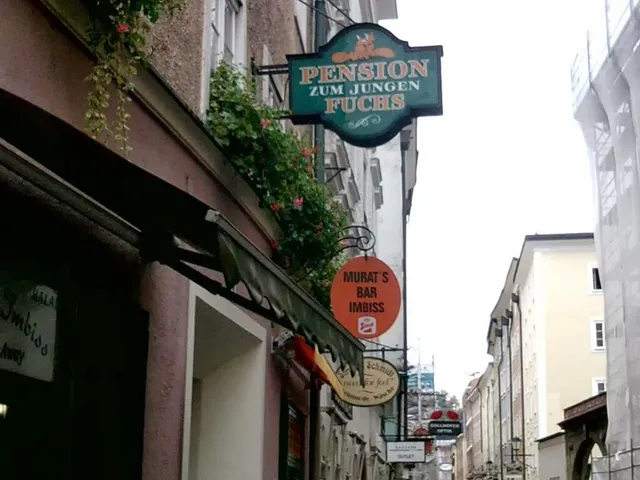 Pension Junger Fuchs