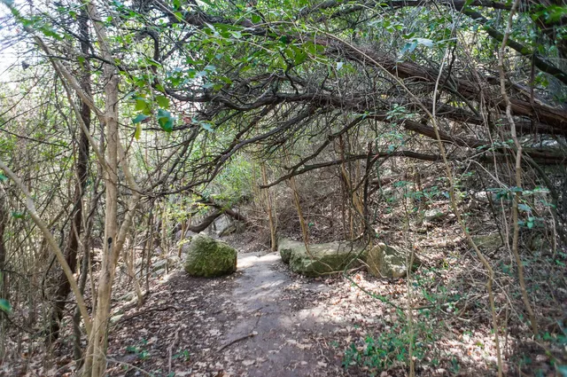 Inga VanNynatten Memorial Trail