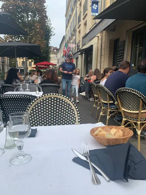 Tabac Du Chat Qui Prise