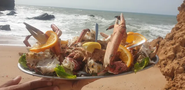 Restaurant Oualidia : LUXURY PICNICS / island Mobile restaurant. ECO-RESPONSABLE.