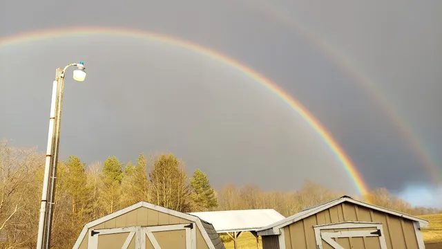 Veterans of Foreign Wars