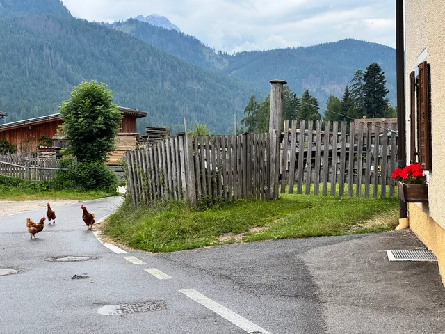 Appartamenti Rienzner