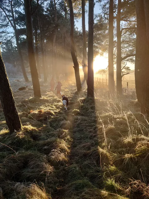 Bowmuir Farm Holidays