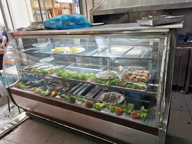 Meshur Halikarnas Balik Pisiricisi