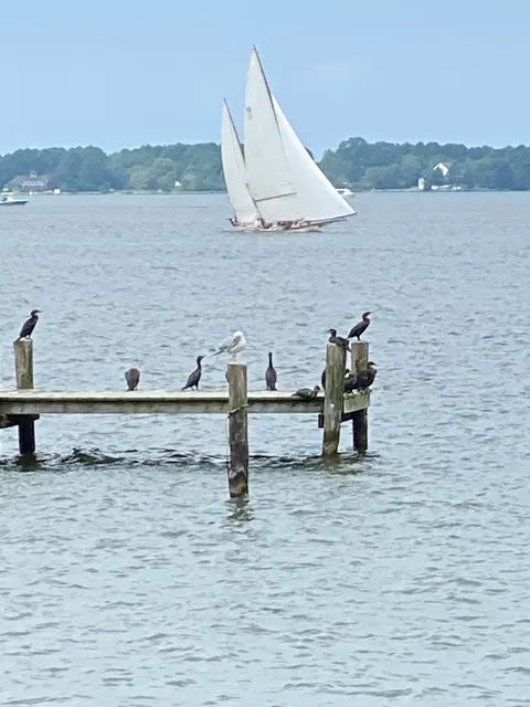 Oxford Crabbing Pier