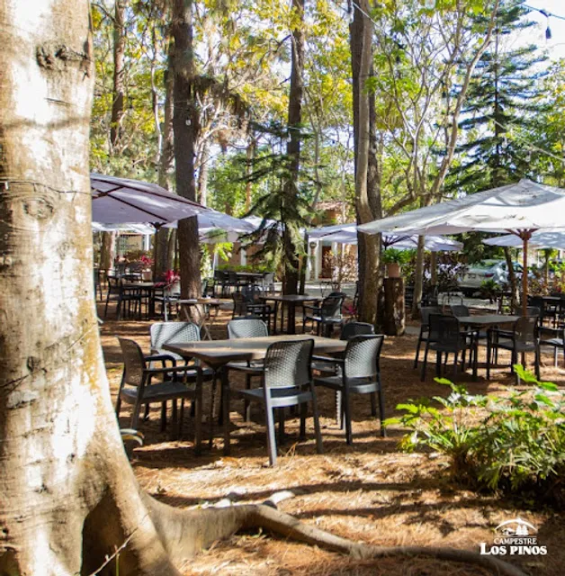 Campestre San Martín de los Pinos