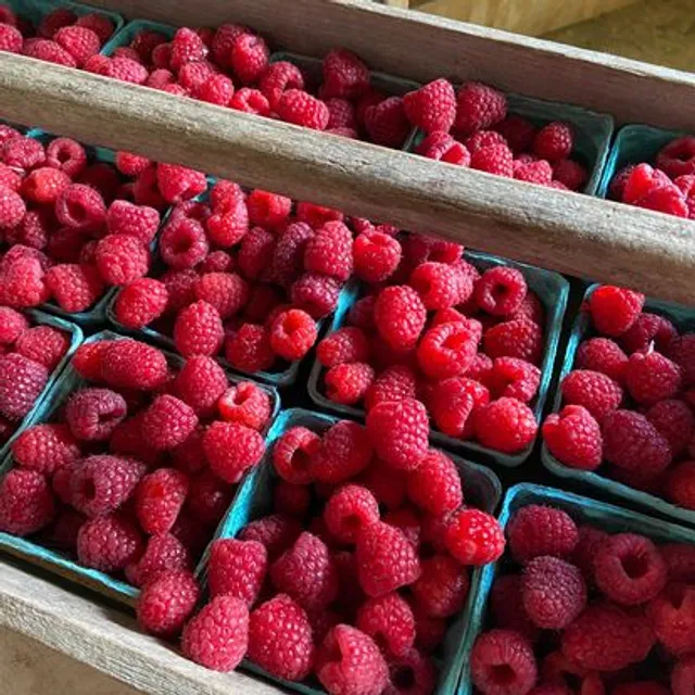 North of Boston: farm & local food hub