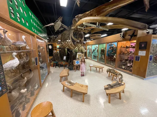 Jurica-Suchy Nature Museum