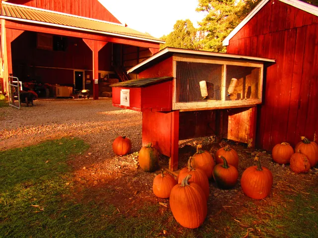 Chambers Family Farm