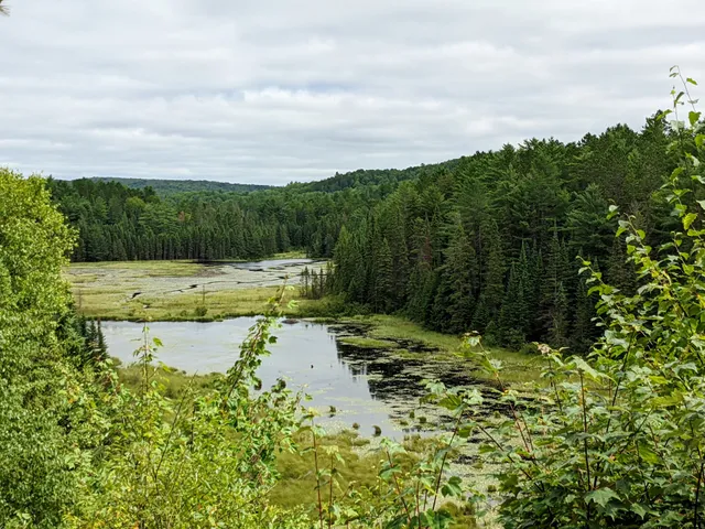 Beaver Pond Trail