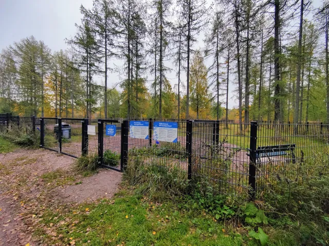 Longinojanpuiston koirapuisto