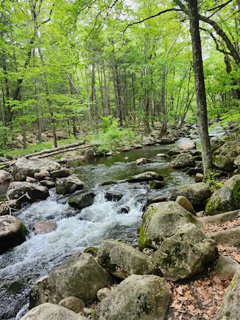 Reeves Meadow Visitor Center