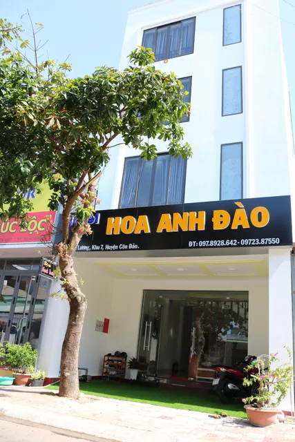 Hoa Anh Đào Motel