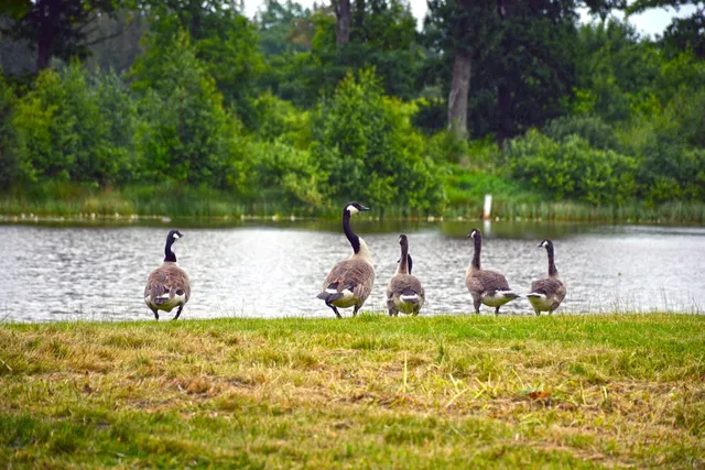 Blidingsholms Gård - Semesterhus, Weekend & Konferens
