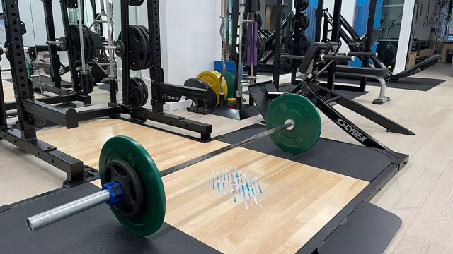 Physical Equilibrium