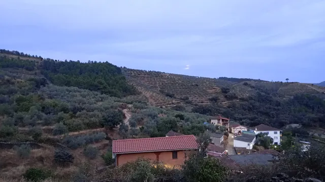 Apartamento Prunus Avium