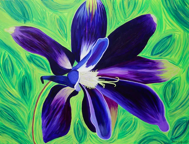 Indian Paintbrush Gallery