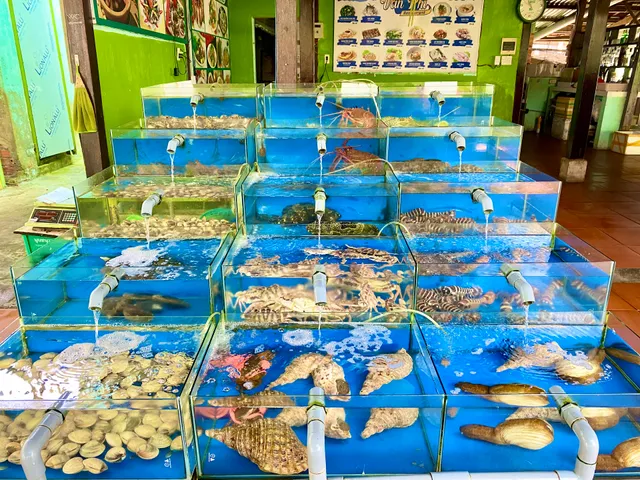 Nhà hàng hải sản Vân Phi - hoian restaurant - 호이안 레스토랑 - ホイアンレストラン