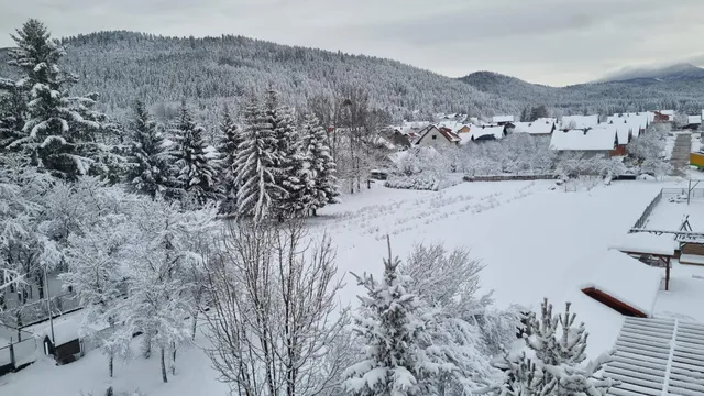 K´Eli - Apartmani & Brvnara "Medvedov panj"