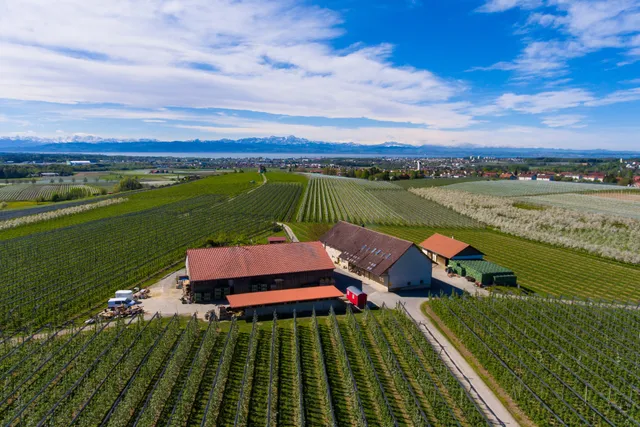 Höhlerhof: Familien-Ferien auf dem Bio-Bauernhof mit Blick auf den Bodensee