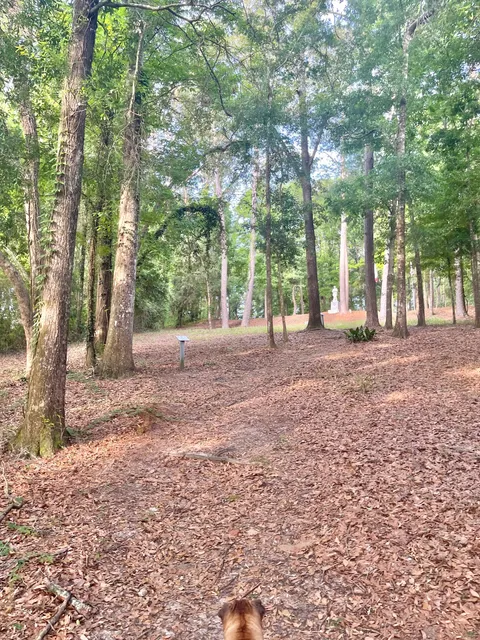 Fort McDermott Confederate Memorial Park