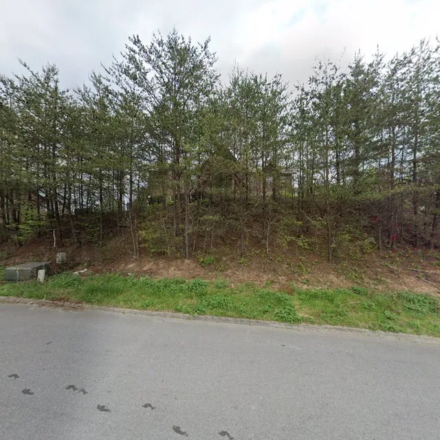 The King of The Mountain