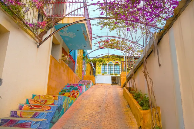 Damask Rose Lebanese Guest House